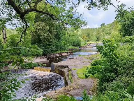 Photo de Catrine Nature Reserve & Voes