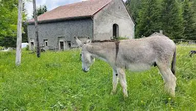 Photo de Vu d'en Haut