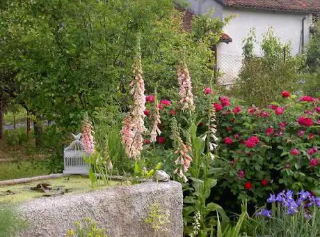 Photo de Maurizio Zarpellon Garden Designer
