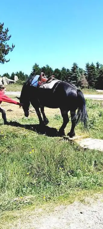Cheval Loisirs Promenades ...