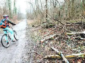 Photo de Réserve naturelle nationale du massif forestier de Strasbourg
