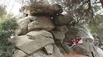 view point