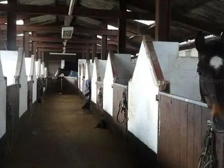 Photo de Bluebell Liveries and Stud