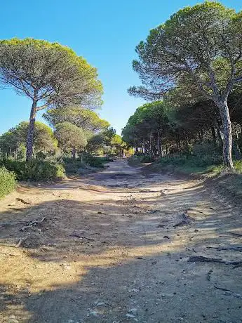 Acantilado de Barbate