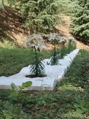 Photo de Fondazione Il Campo dell'Arte