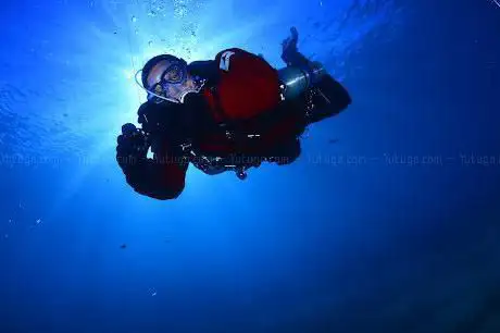 Photo de Zona CERO Sub.- Escuela de Buceo