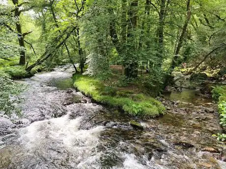 Double Waters
