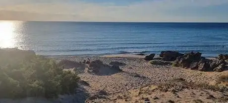 Photo de La spiaggia delle tartarughe