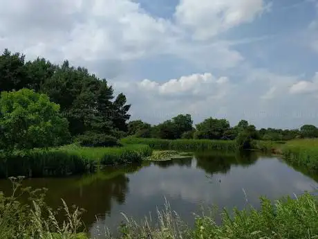 Photo de Coppenhall Gorse (The Moat)