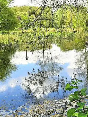 Réserve Naturelle Régionale de l'Escaut Rivière