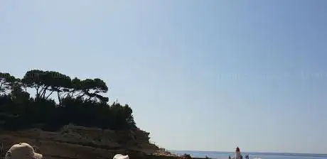 Photo de Marine Park Blue Coast