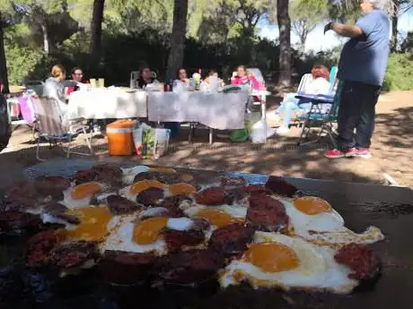 Pinar de la Dehesa de las Yeguas