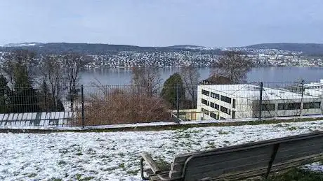 Perfect view