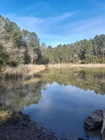 Photo de Lac vert bollene