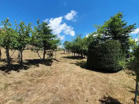 Photo de Giardino di Alta Quota