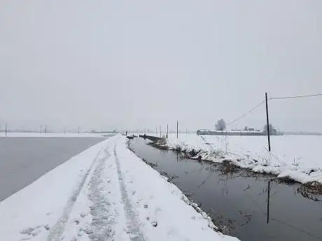 Naviglio di Bereguardo tratto Besate