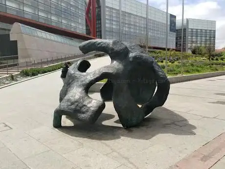 Photo de Cráneo de Miguelón