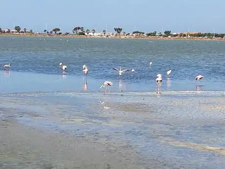 Parco di Molentargius