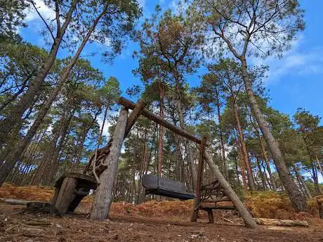 Swing for Two