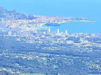 Punta pastinaca