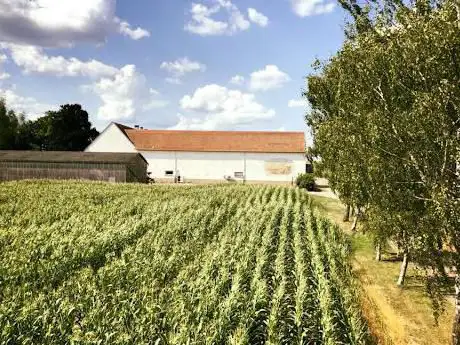 Labyrinthe de Maïs à Breidenbach