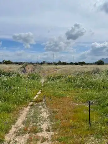 Pista per MTB e atletica su strada (temporanea)