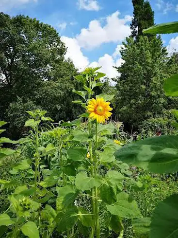 Botanische tuin Jean Massart
