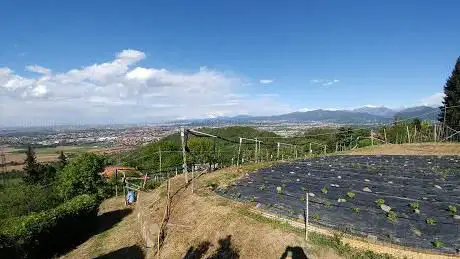 Photo de Belvedere