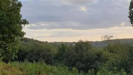 Forêt départementale de La Tête Ronde
