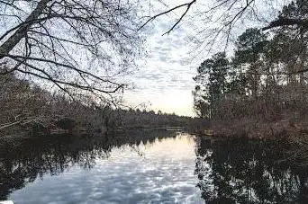 Photo de Etang du Bran