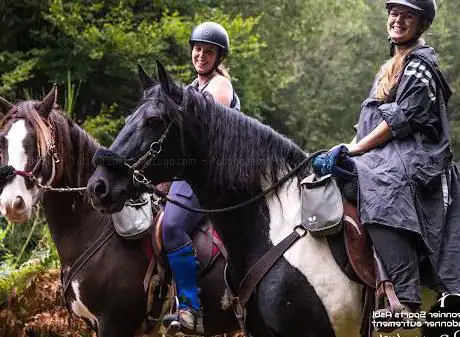Epona team belgium