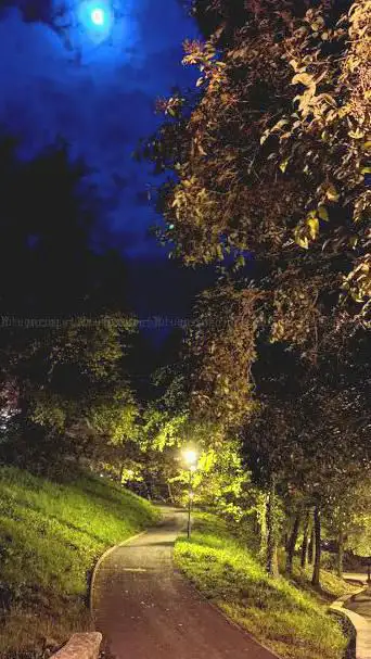 Photo de Artia Park