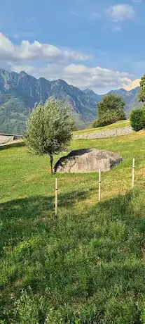 Photo de Antico Torchio Cerido