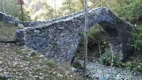Ponte del Molino