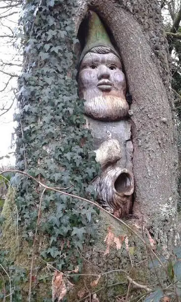 Photo de Vallée du faoudel