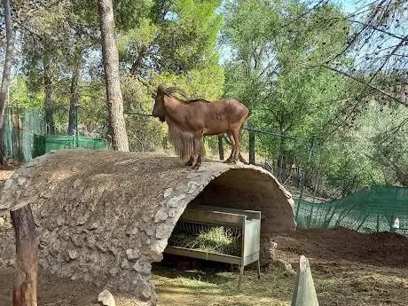 Photo de Guadalajara Zoo