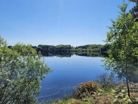 Photo de Loughmacrory walk and nature trail.