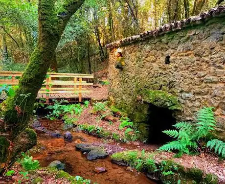 Photo de Ãrea de interpretación dos muÃños