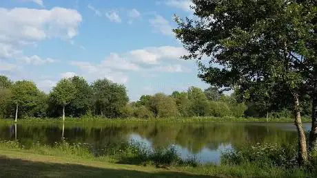 Photo de Étang de la Goumeniere