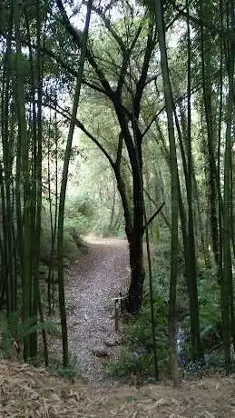 Photo de Ruta Rego de Callou