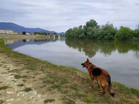 Photo de Fiume Arno