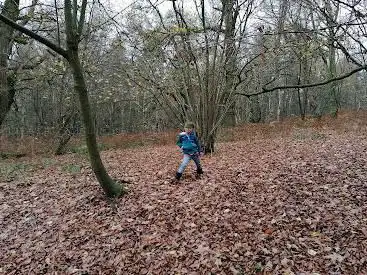 Photo de National Trust - Abinger Roughs and Netley Park