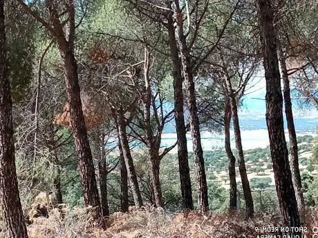 Photo de Embalse de El Pardo