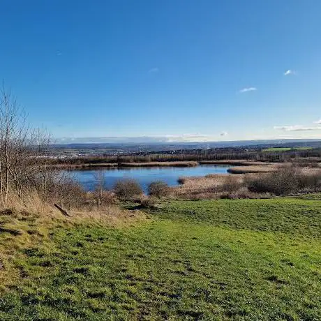 Silverwood Colliery Woodland
