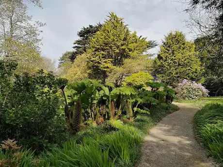 Trewidden Garden