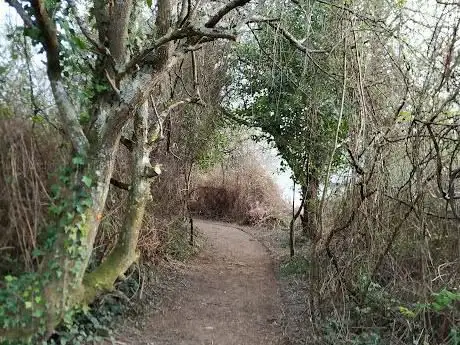 Photo de Senda dos Sentidos