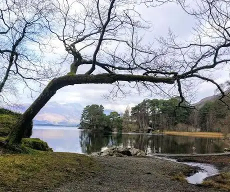 Photo de Manesty Park