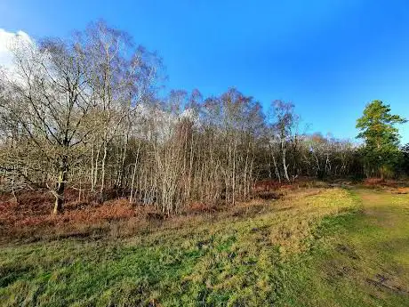 Photo de Little Budworth Country Park