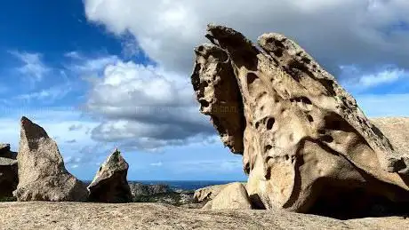 Sfinge della Gallura - Zio Maltinu