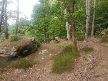 Photo de Rocher Du Corbeau (Krappenfels)
